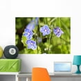 thumbnail image 1 of Speedwell Veronica Wall Mural by Wallmonkeys Peel and Stick Graphic (36 in W x 24 in H) WM216769, 1 of 4