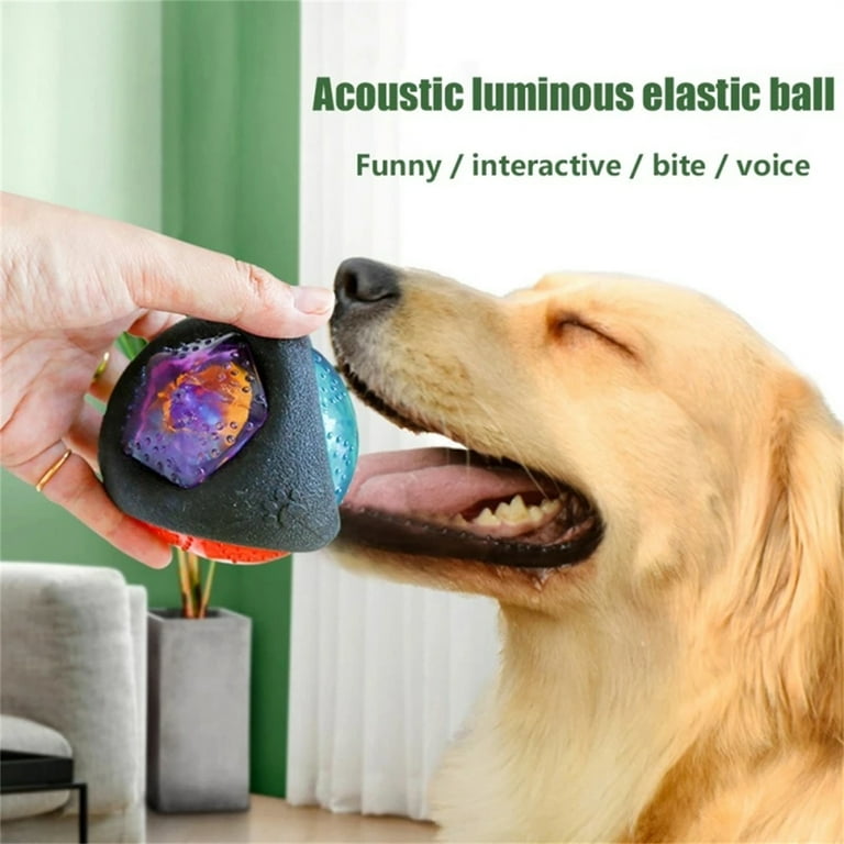 Light Up LED Dog Balls Toys with Sound