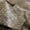 Ivory Brown, variant on ArtisanCowhides Genuine Reptile Embossed Cowhide Leather for Crafts– Gold 10 Sq ft