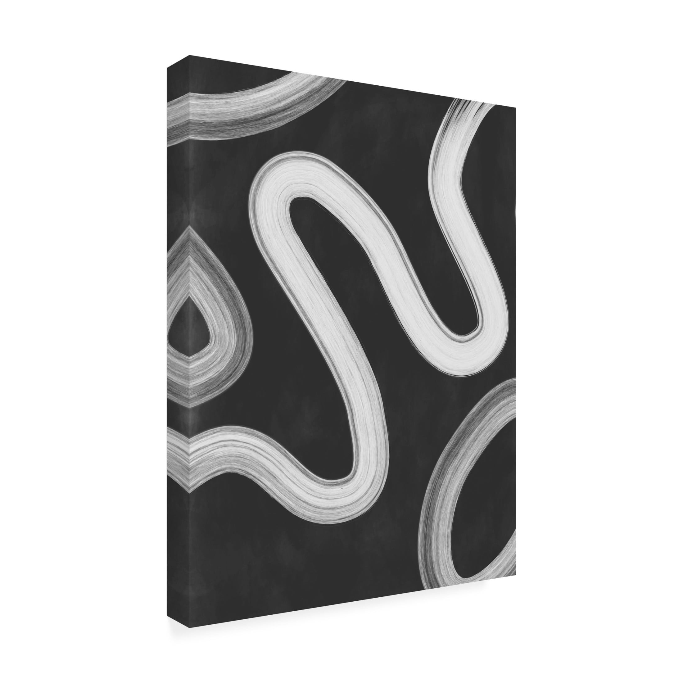 Trademark Fine Art Elena Ristova  blackawhite42 Canvas Wall Art