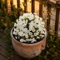 thumbnail image 6 of Artificial Flowers with Ground Spikes for Outdoor - UV-Resistant Fake Plants, No Fade Faux Plants for Porch, Garden, Yard & Patio Decor, 6 of 9