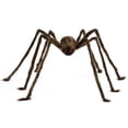 thumbnail image 7 of Joyfy 5 ft Giant Spider Halloween Decorations Outdoor,Poseable Scary Spider Lifelike Hairy Prop for Yard,Haunted House,Tree or Porch Party Decorations,Brown, 7 of 7