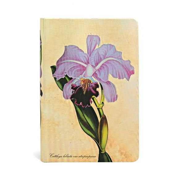 Paperblanks | Brazilian Orchid | Painted Botanicals | Hardcover | Mini | Lined | Elastic Band Closure | 176 Pg | 85 GSM (Diary)