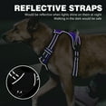 thumbnail image 6 of Dog Harness for Small Dogs, No Pull Pet Harness with 2 Leash Clips, Adjustable Soft Padded Dog Vest Handle, Reflective No Choke Pet Vest Harness, Blue, S, 6 of 7