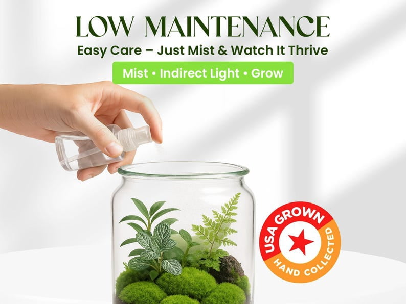Live Moss Variety Pack for Terrariums – Fresh Live Moss – Natural Green Moss – Pet-Safe Moss for Reptile Tanks, Fairy Gardens, and Indoor Décor