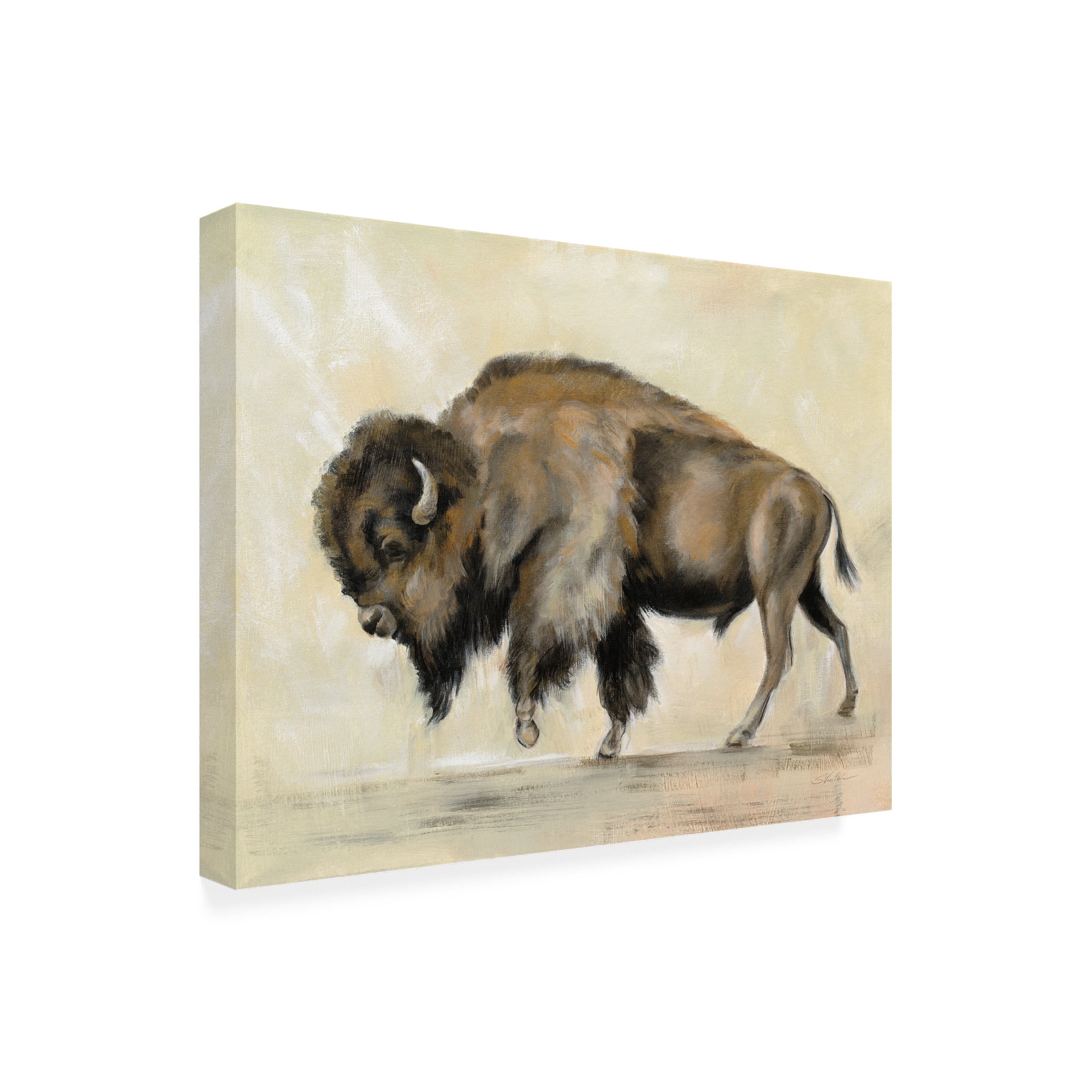 Silvia Vassileva 'Bronze Buffalo' Canvas Art