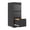 Black, variant on Glyxxen 2 Drawer File Cabinet with Lock, Metal Vertical Filing Storage Cabinet for Home Office, Fit Letter/A4/Legal Size File, White