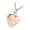 Rose Gold, variant on Memorial Pet Cremation Necklace Steel Keepsakes Pendant With Secure Ashes Container For Pet Loss Remembrances Jewelry