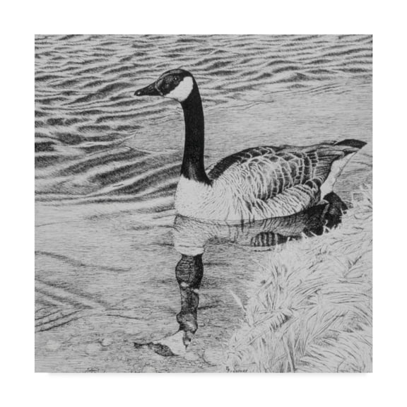 Trademark Fine Art 'Lone Goose' Canvas Art by Rusty Frentner