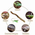 thumbnail image 3 of 2X Reptile Branches for Climbing Bearded Dragon Branch Natural Non-Slip Habitat Decorations Decor, 3 of 7
