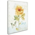 thumbnail image 2 of Trademark Fine Art "Rainbow Seeds Floral VIII Love" Canvas Art by Lisa Audit, 2 of 3