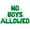 Green, variant on Letter Balloons - NO BOYS ALLOWED 16" Inch Alphabet Letters Foil Mylar Balloon Girls Night Party Banner (Green)
