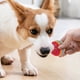 thumbnail image 2 of 10 pelotas de juguete para mascotas de 42 mm, juguetes para perros, pelotas de tenis de EVA para cachorros, juguetes para limpiar los dientes, juguetes de entrenamiento para morder (estilo aleatorio), 2 of 5