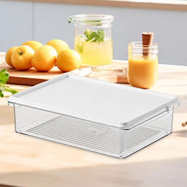 Elodie Food Storage Container for Fridge Beans Fruit Cereals Refrigerator Organizer 28.5x21x7cm 3000ml