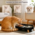 thumbnail image 6 of Elevated Cat Bowls with Food Mat, Splash Proof Anti Vomiting Raised Cat Food and Water Bowl Set, 2 Stainless Steel Dishes for Cats and Puppy, Pet Bowl for Indoor Cats White, 6 of 6
