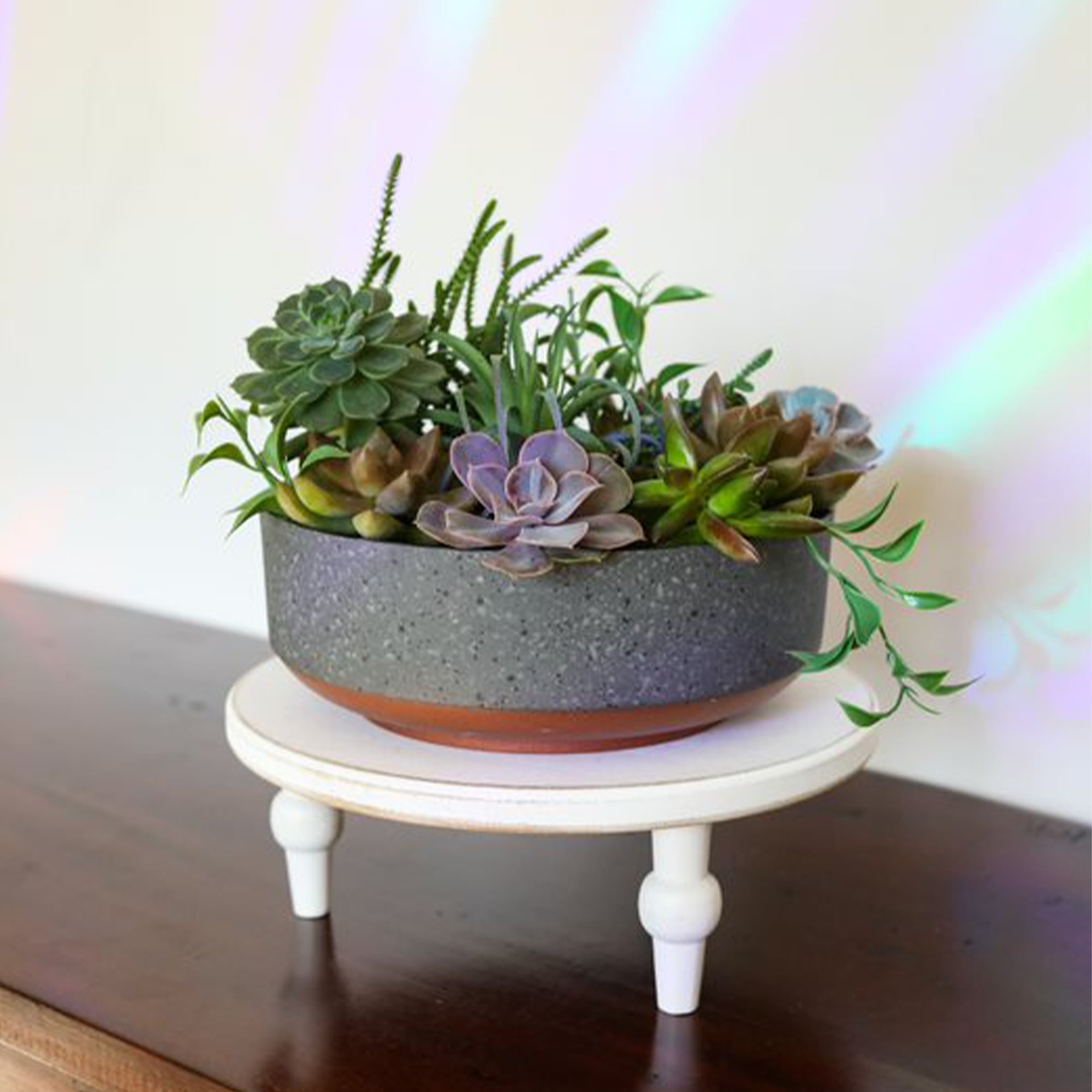 The HC Companies 8 In Capri Bowl Indoor Succulent Pot, Faux Concrete Copper