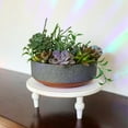 thumbnail image 2 of The HC Companies 8 In Capri Bowl Indoor Succulent Pot, Faux Concrete Copper, 2 of 6