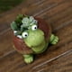 thumbnail image 3 of 2 macetas para suculentas con forma de tortuga, decorativas, de resina, para bonsái, para el hogar y la oficina, color verde., 3 of 5