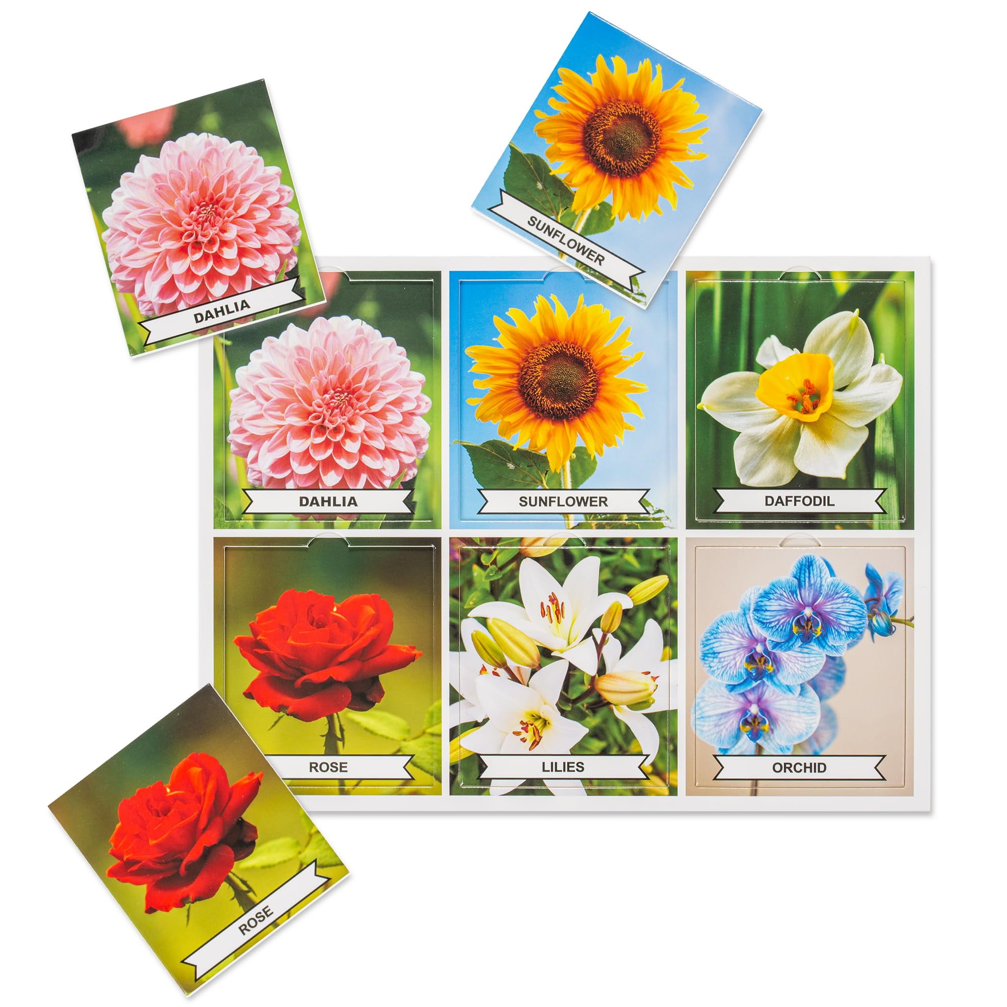 Assistex Matching Game Activity Board - Dementia Activities for Seniors - Memory Games for Adults with Alzheimers - Memory Loss and Alzheimers Activities - Matching Card Memory Games for Seniors