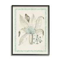 Stupell Industries Detailed Plant Study Botanicals Graphic Art Black Framed Art Print Wall Art, Design by Vision Studio