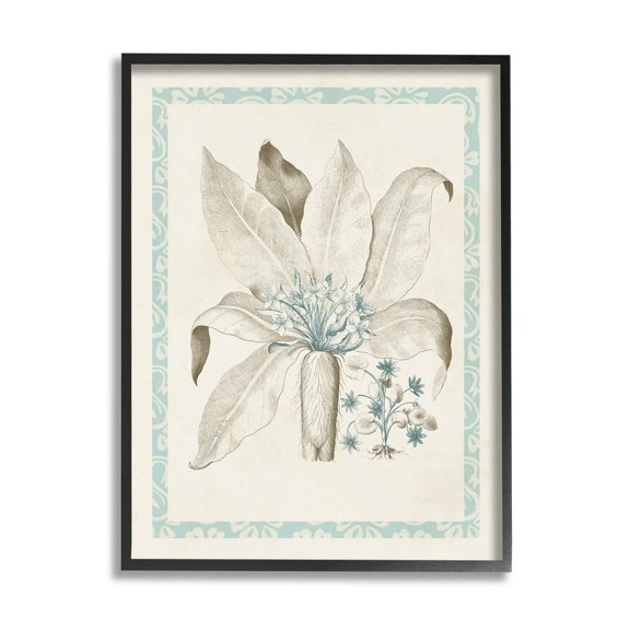 Stupell Industries Detailed Plant Study Botanicals Graphic Art Black Framed Art Print Wall Art, Design by Vision Studio