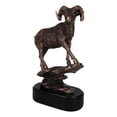 thumbnail image 4 of Wildlife Animal Taxidermy Bighorn Sheep Ram Climbing on Sloping Rock Statue 12"H, 4 of 9