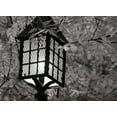 thumbnail image 2 of Geyman, Vitaly 32x24 Black Ornate Wood Framed with Double Matting Museum Art Print Titled - Fall Lighting I BandW, 2 of 4