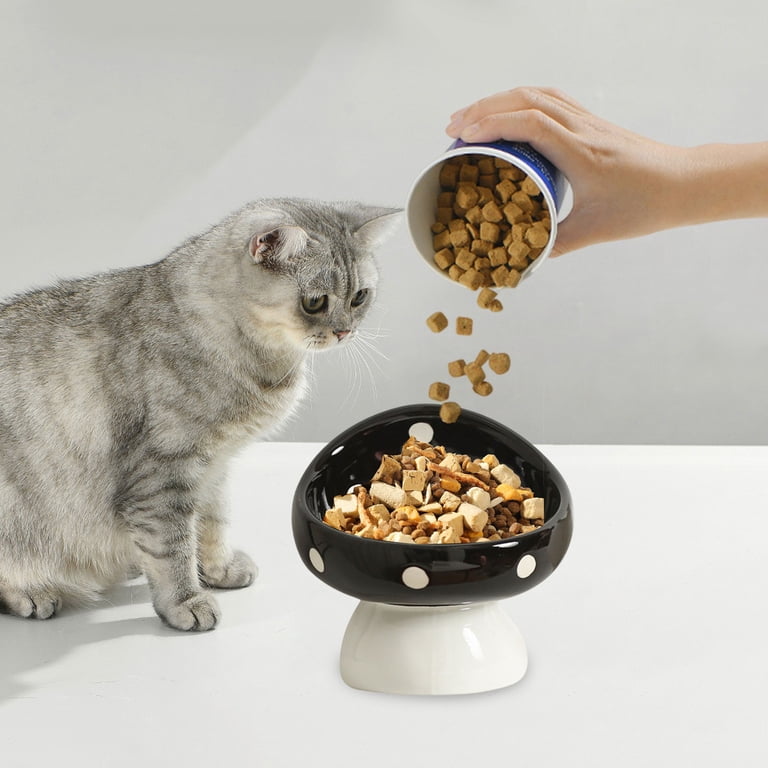 Ceramic Elevated Cat Bowls, Tilted Raised Pet Dish Anti Vomit Kitten Bowl  for Indoor Cats, Whisker Friendly Pet Food and Water Bowl for Kitten, Cat,  ...