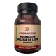 thumbnail image 1 of Mushroom Melena de León Nootropic 40 Cápsulas Veganas de 500 mg, 1 of 3