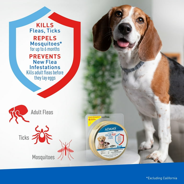Adams Flea u0026 Tick Collar Plus for Dogs u0026 Puppies, 2 Pack, One Size -  Walmart.com