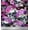 Amethyst, variant on Soimoi Cotton Duck Fabric Skull,Rose & Anemone Flower Print Fabric by The Yard 42 Inch Wide