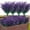 Bell Leaves Purple, variant on 4 Pcs Artificial Shrubs Bushes ,Outdoor Fake UV Resistant Plants Flowers, Faux Plastic Bell Leaves Greenery for Indoor Outside Hanging Planter Home Office Wedding Farmhouse Decor(Purple)