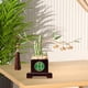 thumbnail image 4 of Adorno de estatua de bambú, adorno de mesa, escultura de bambú, figura de Feng Shui para escritorio, entrada, apertura de negocio, regalo de boda, 4 of 5