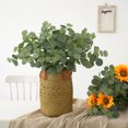 thumbnail image 5 of Eucalyptus Money Leaf Artificial Flowers Imitation Plants Green Stems Tree Cloth Plastic Feathers For Vase, 5 of 5