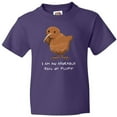 thumbnail image 3 of Inktastic I Am an Adorable Ball of Fluff- Cute Kiwi Bird Youth T-Shirt, 3 of 5