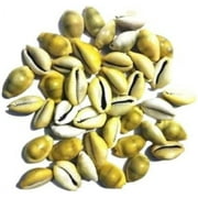 Original Yellow Cowdi/Cowrie/Cowry/Kouri/Kaudi/Kori Shells | Monetaria Monta Shells | For Laxmi and Diwali Pooja Article | Set of 11 | 3/4 Inch ~ 1-1/2 Inch