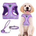 thumbnail image 1 of Juego de arnés, collar y correa para mascotas PUPTECK ajustable para perros, 1 of 7