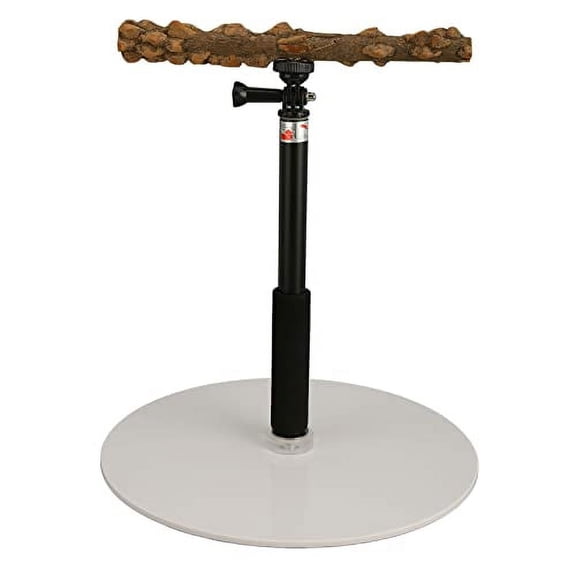 Stand Portable Bird Perch Removable Internal Safe