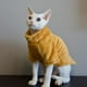 thumbnail image 2 of Suéter de gato Sphynx, camisa suave de dos patas para bebé, suéter de invierno cálido de color sólido de Cornualles, ropa para gatitos y mascotas, 2 of 4