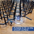 thumbnail image 4 of pitrice 10pcs Garden Protector Cat Net Plastic Anti-Cat Thorn Pet Protection Net Mesh, 4 of 6