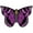 Purple, variant on X-Kites Butterfly/PaPillon 28" Nylon Kite (Purple)