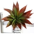 thumbnail image 2 of Plantas de aloe suculentas artificiales de tacto real, flores falsas sin maceta para arreglos de bodas y festivales en el hogar, 2 of 6