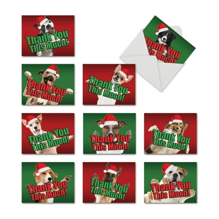'M2369XTB-B1x10 M2369XTB CHRISTMAS DOG Thank You This Much' 10 Assorted Christmas Thank You Note Cards with Envelopes by The Best Card