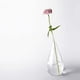 thumbnail image 4 of Florero de Vidrio Perfecl Hecho a Mano Estética Transparente, 4 of 8