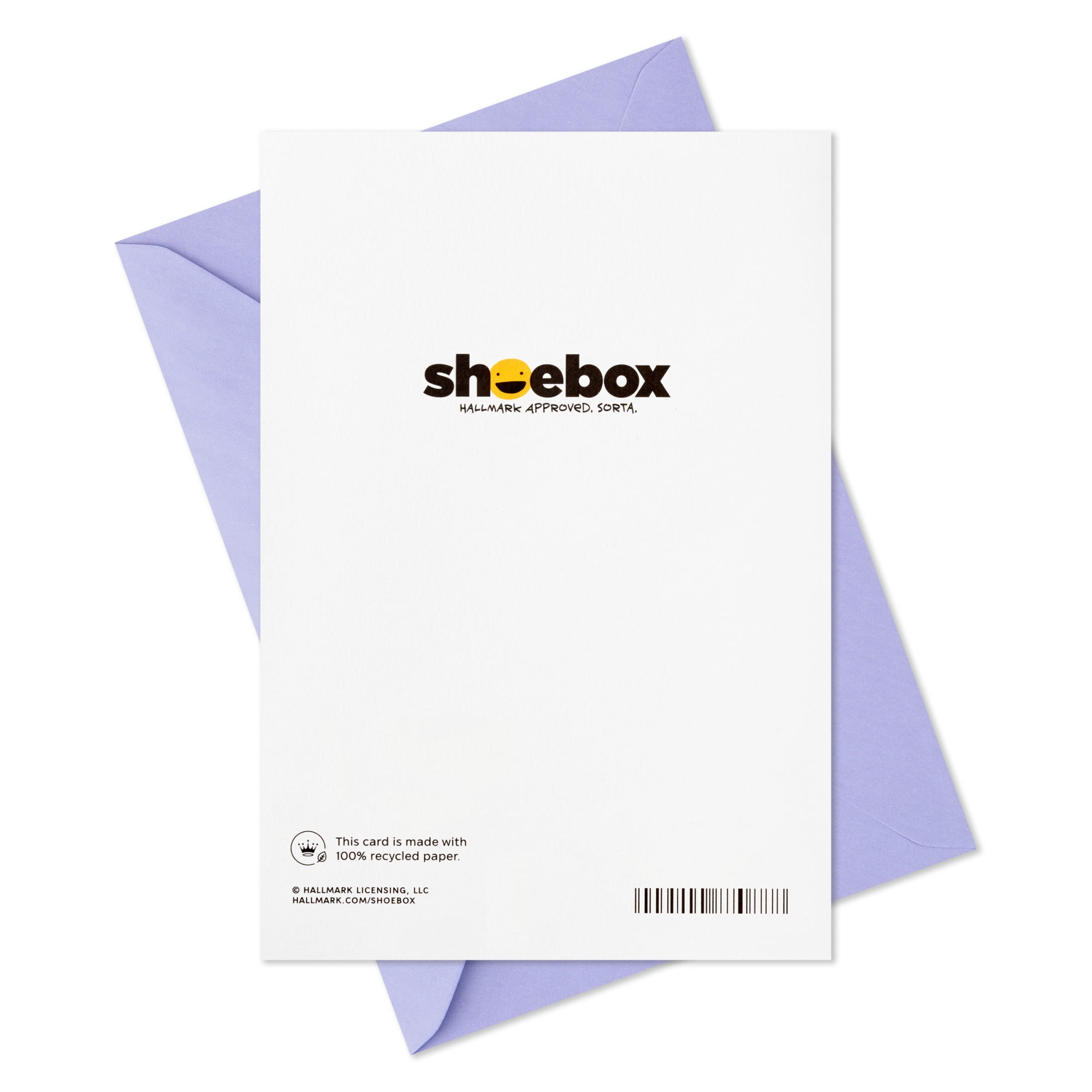 Hallmark Shoebox Funny Birthday Card (Cats Don't Care But I Do)