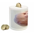 thumbnail image 2 of Humor Piggy Bank, Forever Alone Rage Comic Face Guy Funny Fat Ugly Troll Illustration, Ceramic Coin Bank Money Box for Cash Saving, 3.6" X 3.2", Peach, by Ambesonne, 2 of 4