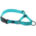 thumbnail image 1 of Collar Martingale Max y Neo Nylon para perro, tamaño mediano, color verde azulado, 1 of 4