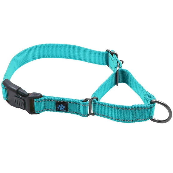 Collar Martingale Max y Neo Nylon para perro, tamaño mediano, color verde azulado