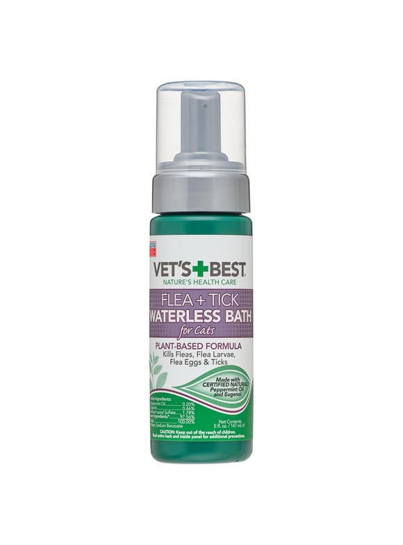 Cat Flea and Tick in Cats