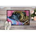 thumbnail image 2 of Carolines Treasures 7347MAT Fawn Boxer Tapis Intérieur & Extérieur - 18 x 27 Po., 2 of 4